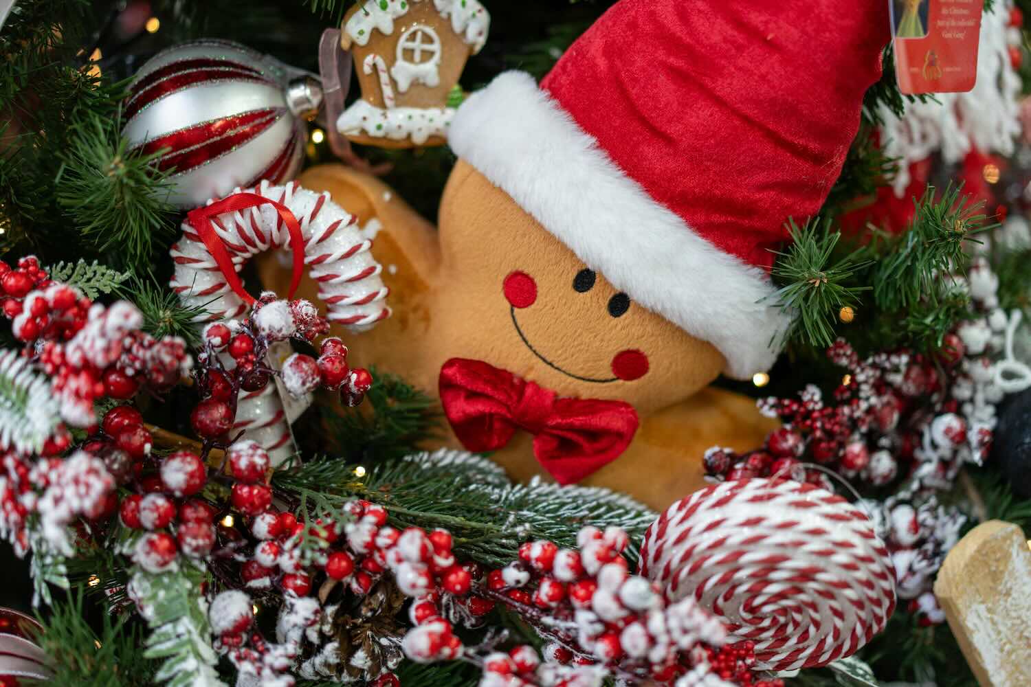 Noël Chrétien